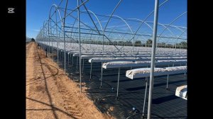 Гидропоника, что оспользовать