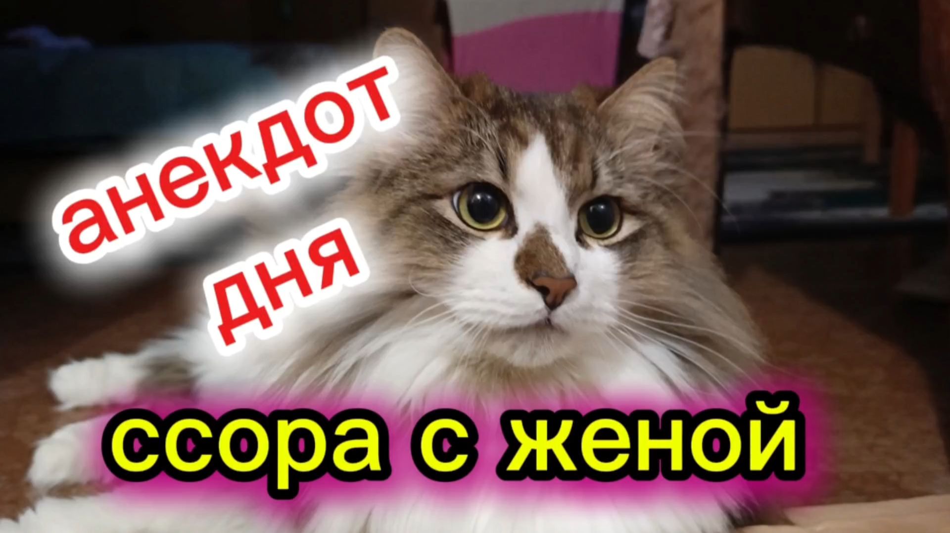 Анекдот дня.