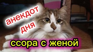 Анекдот дня.