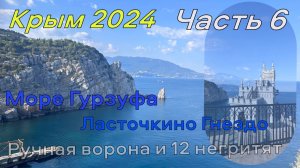 Крым 2024. Часть 6. Море Гурзуфа. Ласточкино Гнездо. Дельфины