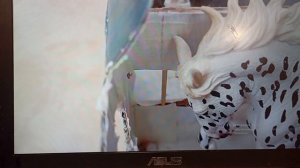 смотрим типичный сериал//сериал мира лошадей//лошади шляйх// Karmen studio//