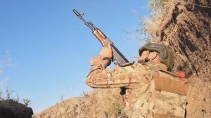 Спас товарищей в бою: подвиг сержанта Семеняко.