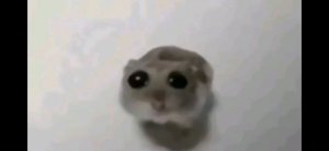 танцую и пою под треки виолы