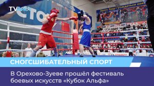 В Орехово-Зуеве прошёл фестиваль боевых искусств «Кубок Альфа»