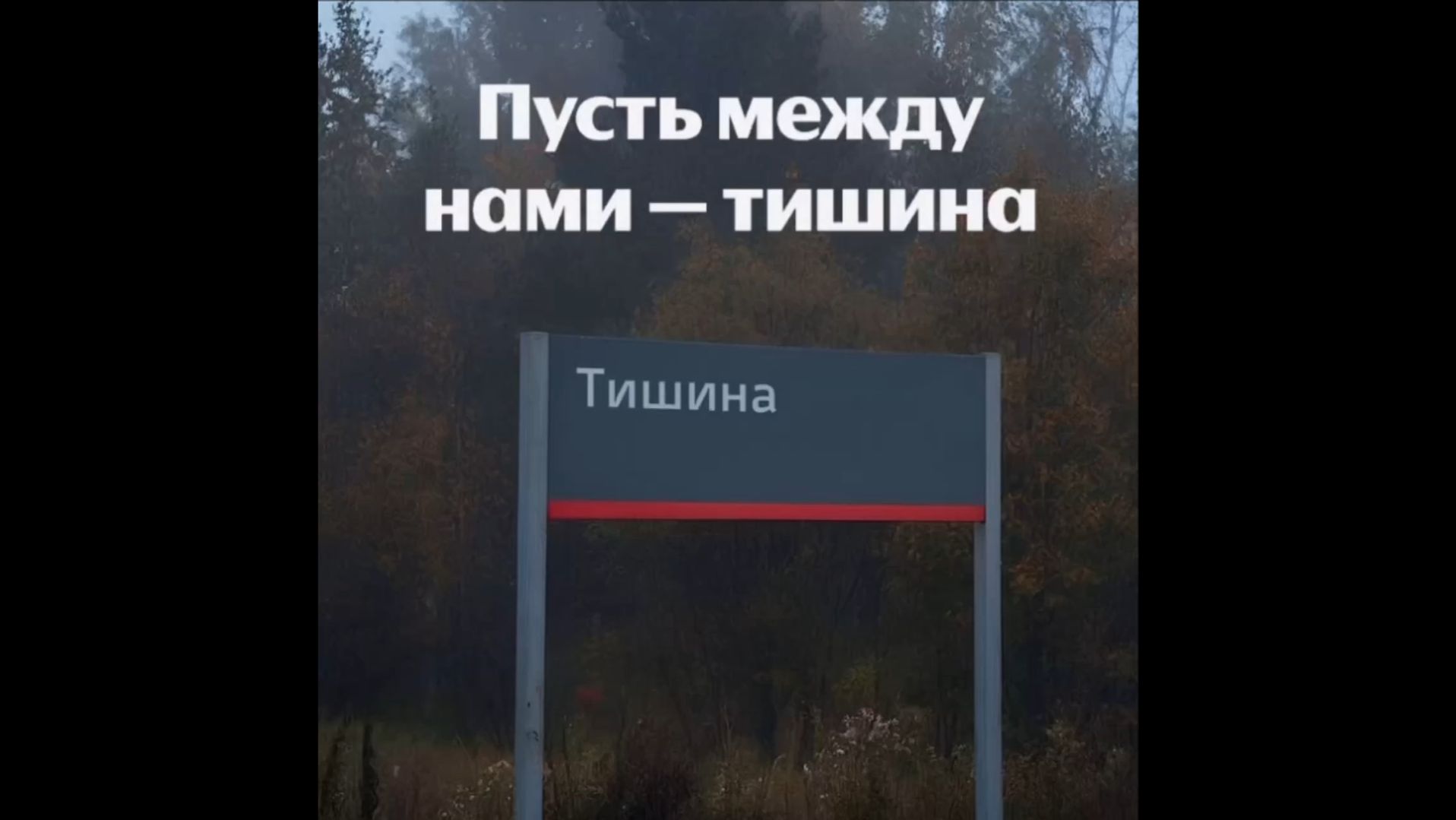 Настя Глазкина — Тишина