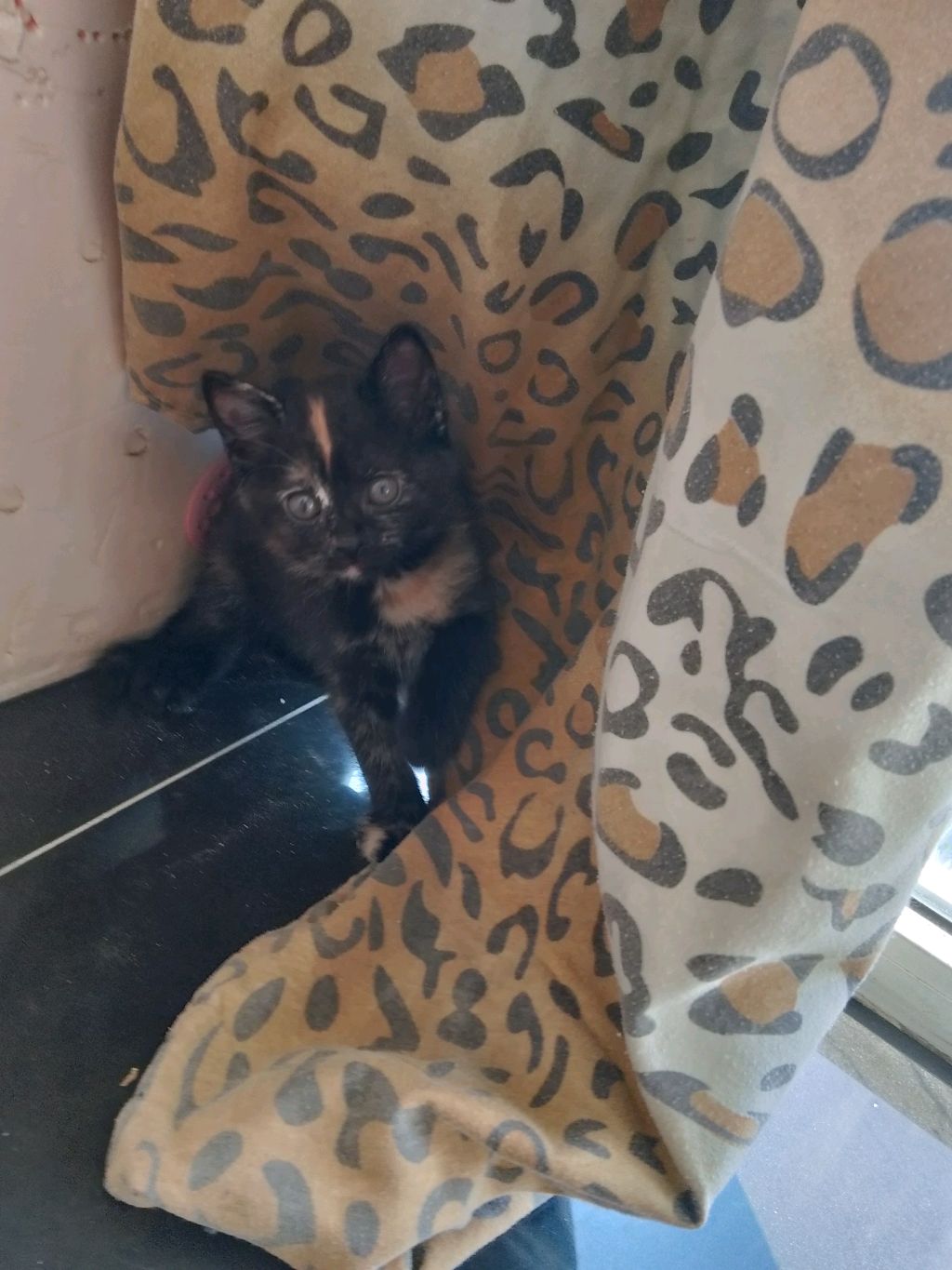 Гарри топор