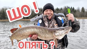 Щука на воблер в ноябре 😎