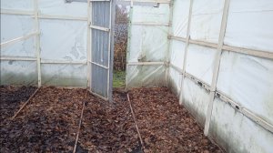 19.11. 25г.  Обзор в ТЕПЛИЦЕ!!! 👍👍👍🙂.    Конец ОГОРОДНЕМУ Сезону!!!😒