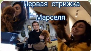 САМВЕЛ АДАМЯН, ГАРИК И КЕРРИ, МАРСЕЛЬ, ЧТО С НИМ? ПЕРВАЯ СТРИЖКА..