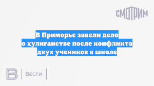 В Приморье завели дело о хулиганстве после конфликта двух учеников в школе