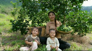 Собираем урожай лимонов для продажи на рынке. Готовим ужин вместе с маленькой дочерью. Вьетнам