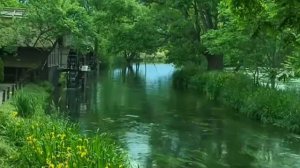 Звуки природы  и музыка