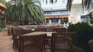 Жажда любви живет в крови нашей, плоти. читает автор Богдан Бандура