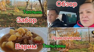 22-11-2025 Из Сибири на юг💖 Обзор/Тюльпаны/Забор/Обед/Южная жизнь/