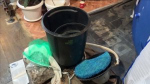 Супер фильтр для аквариума и пруда VELDA.Ролс-ройс в мире фильтров.Эксперимент с растениями.