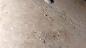 Автоэлектрик59. Установка автономного обогревателя на а/м Газель.