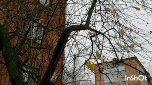 Полетаем по округе