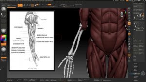 для перевода