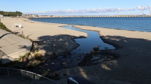 Пионерский курорт.26.09.2025 От дома до пляжа.veg