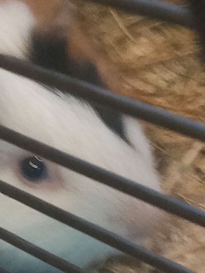 пппппппапппппппппппппппппппееееееееееенннннннннннннннннннннннннннннннннннн22222222222222288888888888