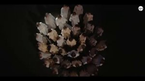 Hildegard of Bingen Caritas abundant in Omnia - Love Aboundeth In All Things