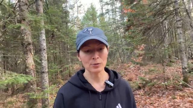 Не могу заставить себя делать упражнения !! И что делать_ смотреть онлайн