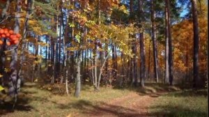 Листва и Ветер