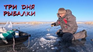 ПЕРВЫЙ ЛЁД КОМОМ | Сезон 2025-2026