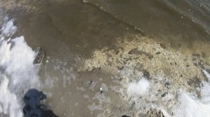 Часть 3. На озеро Шест на велосипеде