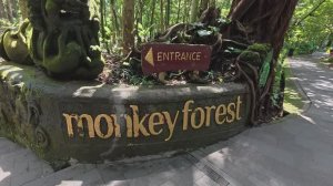 Monkey Forest, Ubud, Bali