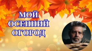 22.11.25 г. Огород. Начинаю кормить синичек.