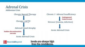 8.Adrenal Insufficiency
