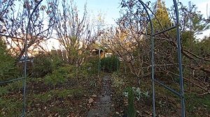 СОНАСТРОЙКА на энергопоток Духа новой эпохи, на Программу Водолея в Универсолиса. Мир Универсологии