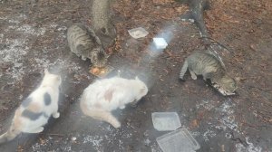 творите добро