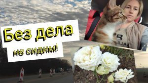 Переезд на ЮГ🌞 Без дела НЕ СИДИМ💪 Навесу под машину БЫТЬ 🚑 Ася НЕ БУДЕТ мамой🙀