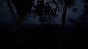 СТРИМ ИЗ ДЖУНГЛЕЙ