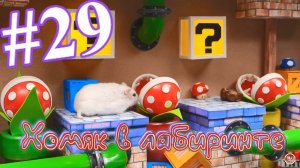 Хомяк в лабиринте (29 серия)
