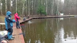 Поимки и сходы на Спорт-зоне. Клёвое место Лосиный остров.