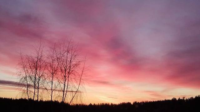 Красивая утренняя заря 16.11.25 смотреть онлайн