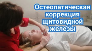 Остеопатическая коррекция щитовидной железы