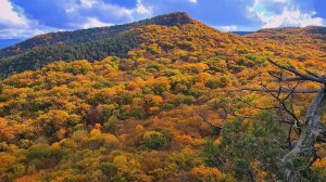 Окрестности Черной речки в районе с. Широкое