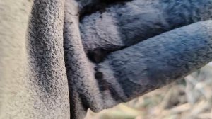 Ещё один убитый "массон" 🤦