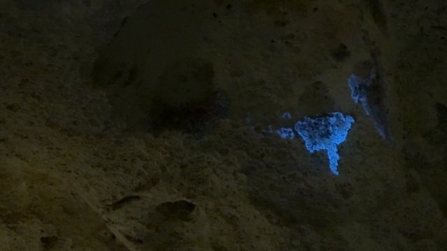 Под трассой Таврида нашли ЭТО... Невероятные кадры!