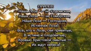 Лоза (караоке)