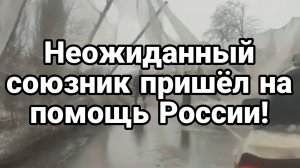 ТАМИР ШЕЙХ / НЕОЖИДАННЫЙ СОЮЗНИК РОССИИ ПРИШЁЛ НА ПОМОЩЬ. новости сводки
