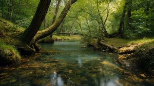 Музыка для сна успокаивающая