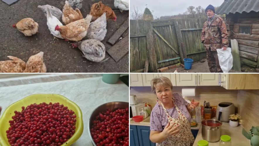 ПЕРЕСЫПАЛИ ПРОСО,УГОСТИЛИ КУРОЧЕК, ДОВЕЛА КАЛИНУ ДО УМА.