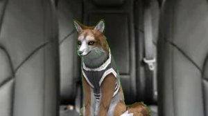 страшилка Вайлд крафт