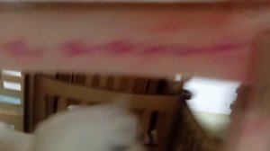 типы лошадей Шляйх и дарвин  2