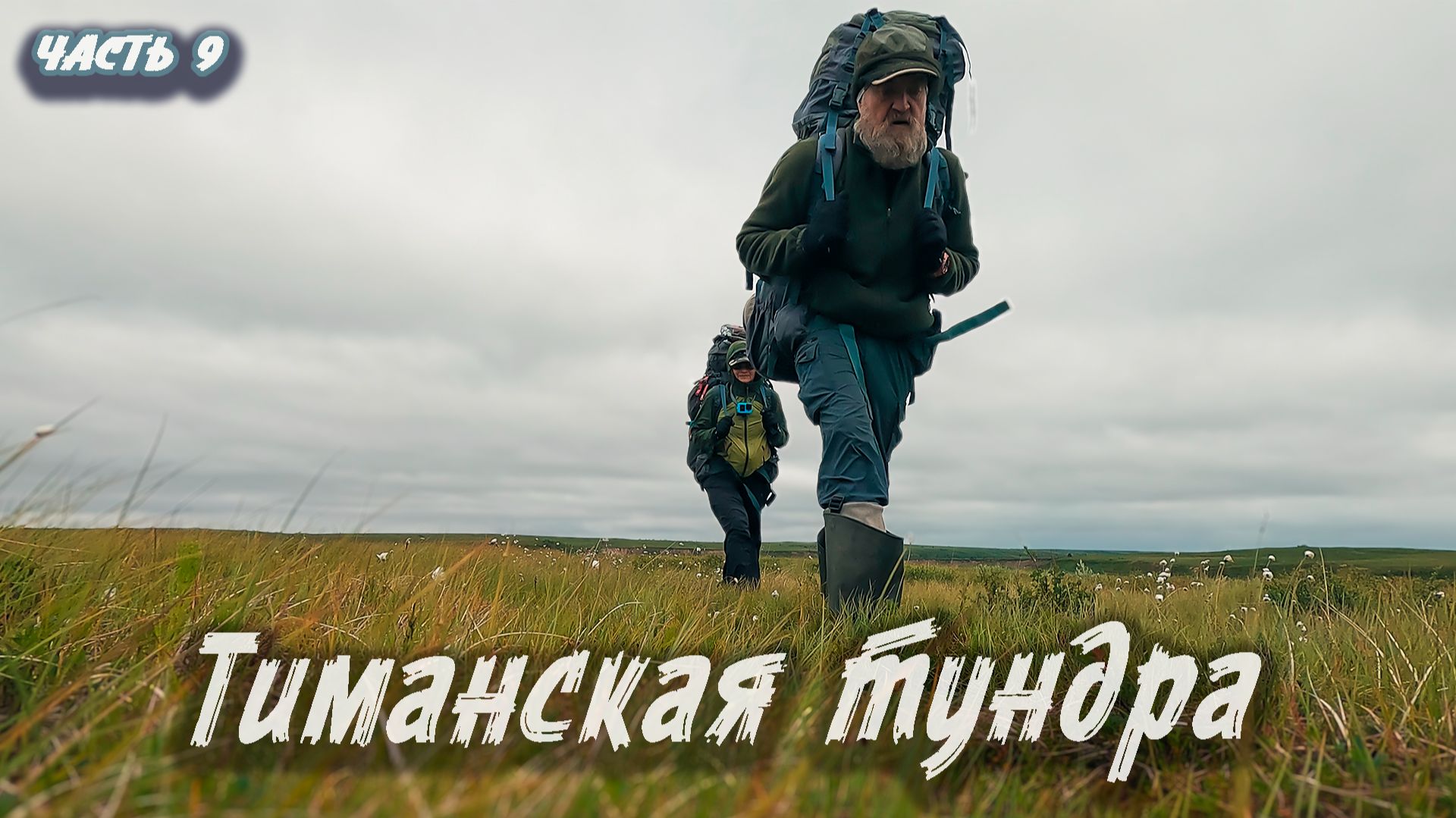 Тиманская тундра | Северный Тиман 2025